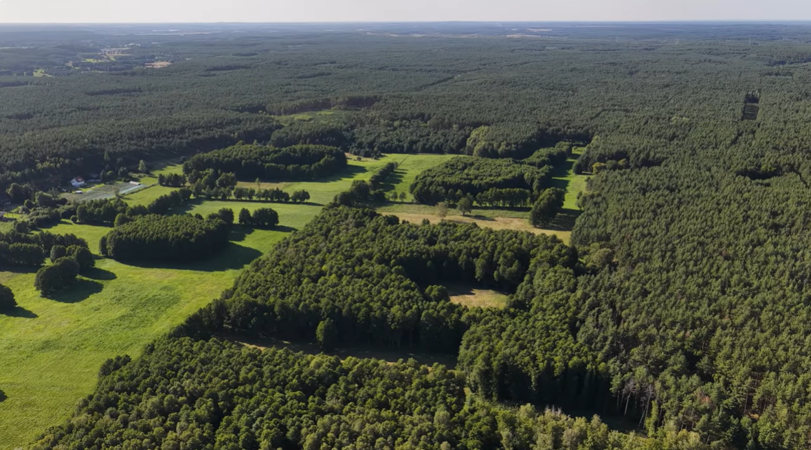 Pąchy1 Poznań/Pąchy, Polska - Działki z potencjałem inwestycyjnym w otoczeniu lasów – Bild 1